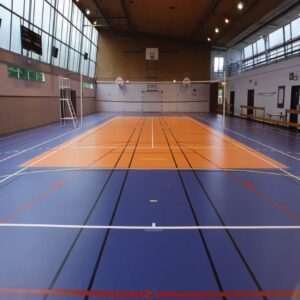 OMNISPORTS V83 Vinyl Flooring