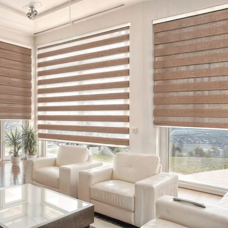 Zebra Blinds