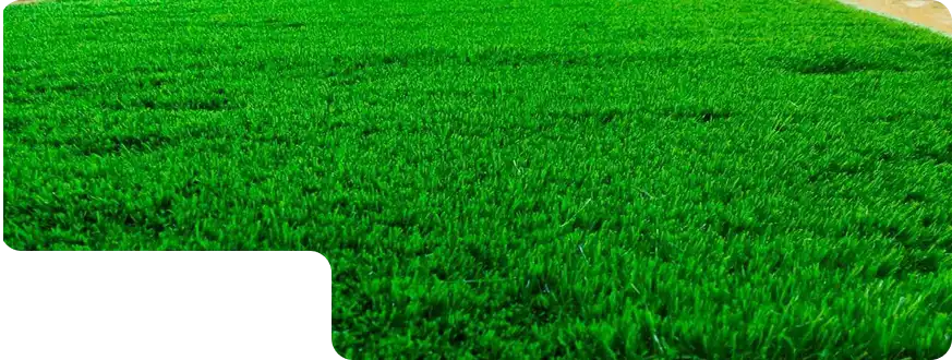Get Premium Grass Carpet In Dubai