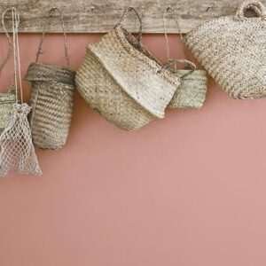 Salmon Berry 70227-16