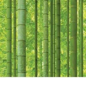 SunshineBamboo88423-1