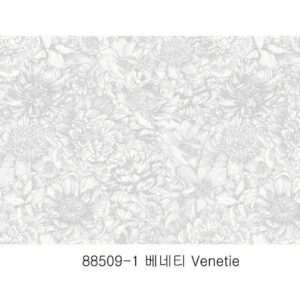 Venetie88509-1