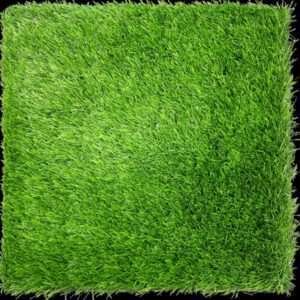 Turf-Play